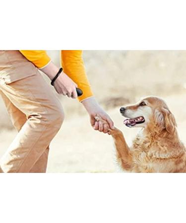 DogCatz Dog Puppy Teardrop Clicker Training Train Your Pet Dogs and Cats in Obedience (Pink) - Buy Online on GoSupps.com