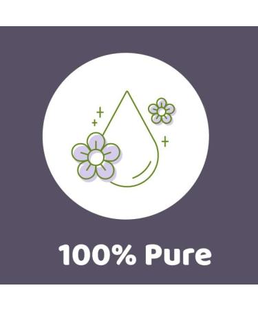 Buy Plant Therapy Lemon Scented Tea Tree Essential Oil 10 mL 100% Pure Natural Aromatherapy for Uplifting Refreshing & Deodorizing Aroma International Shipping Available - Buy Online on GoSupps.com