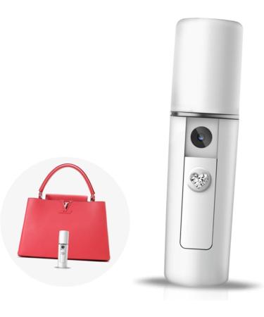 PAMINGONO Mist Sprayer Air Humidifier Mini Face Humidifier Handy Sprayer Electric Face Mister Atomizer White - Buy Online on GoSupps.com