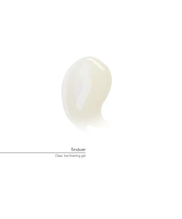 Aesop A Rose by Any Other Name Body Cleanser 500mL - Alcohol-Free, Gluten-Free & Vegan Body Wash for All Skin Types - Men & Women's Body Skin Cleanser - Buy Online on GoSupps.com