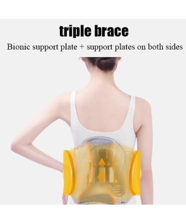 FoRes Pulley System Lumbar Support - 360 Adjustable Back Brace for Disc Herniation - Triple Brace Physiotherapy Spacer - X-Large Size - Buy Online on GoSupps.com
