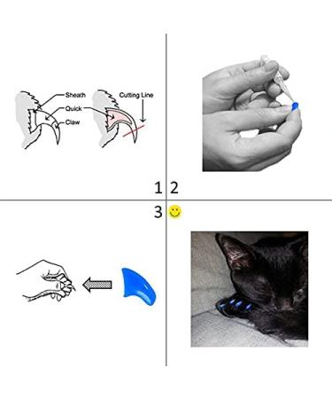 Purrdy Paws 40-Pack Glow-in-The-Dark Soft Nail Caps for Cats - Medium Size - Buy Online on GoSupps.com