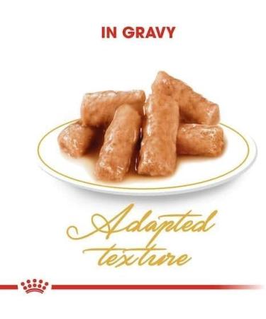 Royal Canin British Shorthair in GRAVY Wet Adult Cat Food (48 x 85g) - Buy Online on GoSupps.com