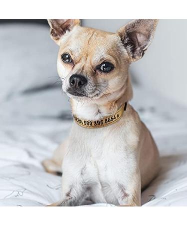 Tagme Personalized Dog Collar for Small Dogs Embroidered & Reflective Nylon Custom PET Name & Phone Number Khaki XS (1 Pack) - Buy Online on GoSupps.com