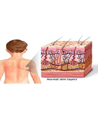 Grisi Hypoallergenic Clean Neutral Soap Bar 10.5 oz - 3 Pack - Buy Online on GoSupps.com