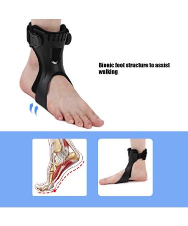 Buy Drop Foot Brace Orthosis | Lightweight Support for Hemiplegia Nerve Injury & Foot Position | Ankle & Foot Orthosis - XL Right Foot - Buy Online on GoSupps.com
