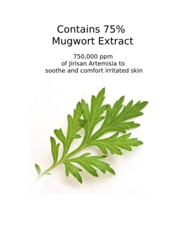 CHARMZONE Mugwort Serum The Original 1.69oz Calming & Hydrating Serum for Healthy Radiant Skin - Buy Online on GoSupps.com