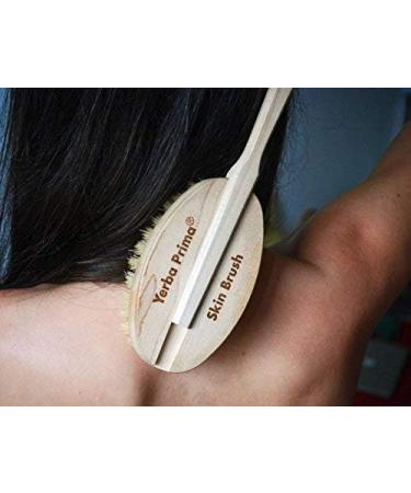 Yerba Prima Tampico Dry Skin Brush - Exfoliating & Stimulates Blood Circulation (Pack of 3) - Buy Online on GoSupps.com