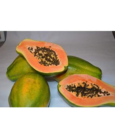 Buy 50g Papaya Ker Powder - Premium Quality for Health Benefits | Worldwide Shipping - Buy Online on GoSupps.com