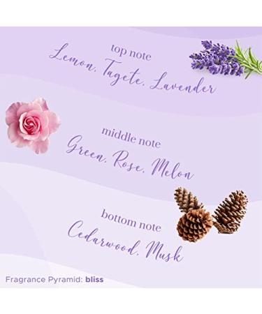 thakor craft Bliss Lavender Body Spray for Women | Long Lasting Fragrance | Aluminium Free | No Gas | Floral & Musky Fragrance | 150ml - Buy Online on GoSupps.com