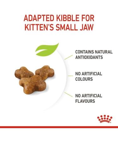 Royal Canin Kitten Dry Food 400g Poultry 400 g (Pack of 1) - Buy Online on GoSupps.com