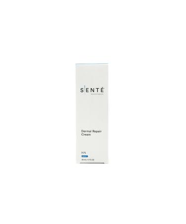 SENTE Dermal Repair Cream (1.7 fl.oz / 50 ml)