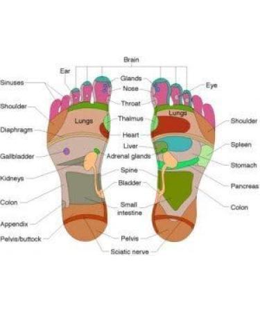 Black Forest Spa 100 Detoxification Patches for Feet - Remove Toxins & Waste | International Shipping - Buy Online on GoSupps.com