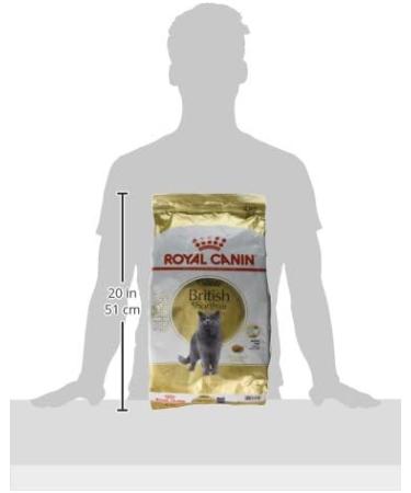 Royal Canin Cat Food British Shorthair Dry Mix 4 kg - Buy Online on GoSupps.com