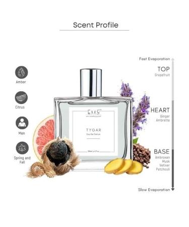 EMS Tyygar Perfume for Men | Citrus Amber Fresh Spicy Fragrance | Eau de Parfum Spray | Luxury Gift for Him | (50ml / 1.7 Fl Oz) - Buy Online on GoSupps.com
