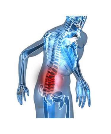 ECODE LUMBA PLUS ECO-852 - Lumbar Spine Decompression & Axial Stretch - Grey | International Shipping Available - Buy Online on GoSupps.com