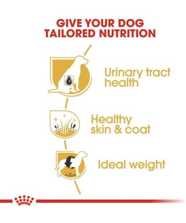 Royal Canin Dog Food Bichon Frise 1.5kg - Buy Online on GoSupps.com