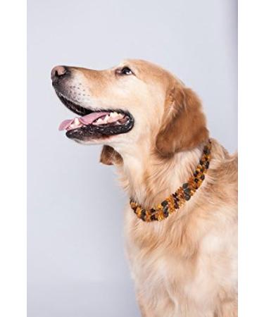 100% Baltic Amber Dog & Cat Chains | Effective Tick Protection | Ilikeamber.com - Buy Online on GoSupps.com