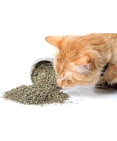 Meowijuana Organic Dried Premium Ground Catnip Bundle - High Potency - Grown in the USA for Cat Toys - Feline & Cat Lover Approved - Buy Online on GoSupps.com