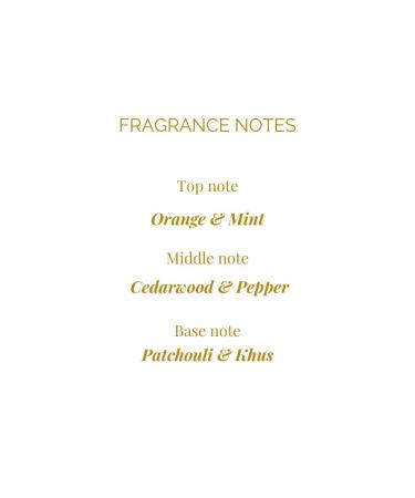 Legend 1942 Long Lasting Luxury Perfumes | In-Dna Black 100Ml | Branded Perfume For Men & Women | Cologne - Floral Fragrance | Everyday Essentials - Gifts | Hand Crafted by Amitabh Bachchan - Buy Online on GoSupps.com