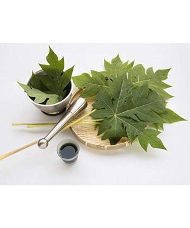 Herbal Magic Pure Papaya Leaf Powder - Green & Whole Leaves | Ayurvedic Superfood for Smoothies & Baking | 300gms - Buy Online on GoSupps.com