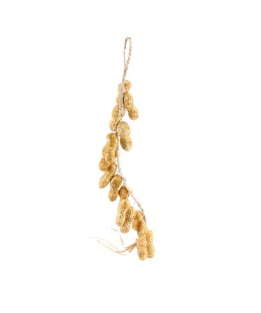 Yardenfun String Decoration Artificial Peanut Vegetable Fake Hanging for Home Wall Restaurant Lifelike Fruit