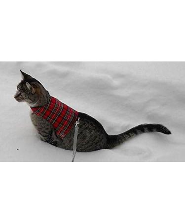 Mynwood Cat Jacket/Harness Royal Stewart Tartan Adult Cat - Buy Online on GoSupps.com