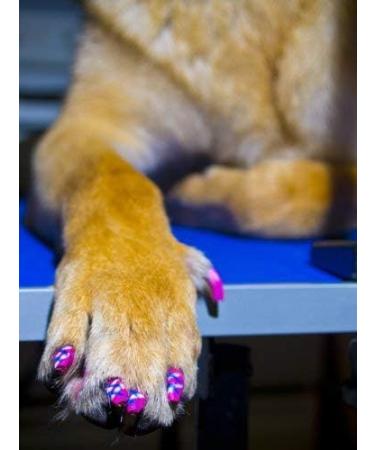 Warren London Pawdicure Nail Polish Pens Pink 0.16 OZ - Buy Online on GoSupps.com