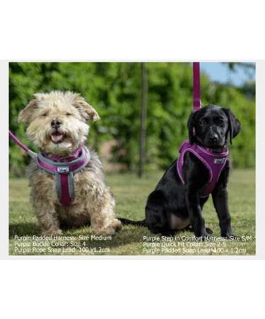 Ancol Viva Purple Padded Harness - Size Small (36-42cm) - Buy Online on GoSupps.com