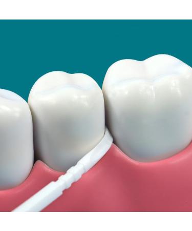 AOYEAH 200pcs Double Headed Toothpicks - Household Plastic Toothpicks for Easy Grabbing & Cleaning - Green Bypass Bottle | International Shipping Available - Buy Online on GoSupps.com