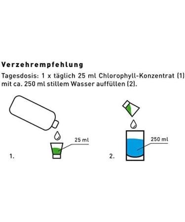 Buy Zestliquid 1L Liquid Chlorophyll - Alfalfa & Mint Flavor No Preservatives High-Dose Monthly Supply | Zestonics - Buy Online on GoSupps.com