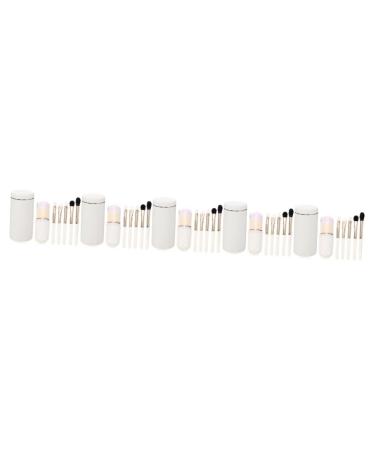 Didiseaon 5 Sets Makeup Brush Set Professional Makeup Brush Mini Beauty Kit Makeup Brush Cover Women Makeup Round Brush Girl Makeup Brush White Cosmetic Thick Aluminum Tube Travel Powder