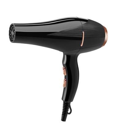 Hair Dryer Professional Hair Dryer 2000W Salon Hairdryer Fast Hairdryer Women Hair Dryer DC Motor Fast Drying 2 Comb and Nozzles 2speeds and 3temperatures Thermostatic Protect Hair for Home or Salon