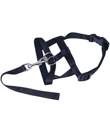 AsentechUK Adjustable Nylon Dog Muzzle Stop Pulling Training Strap Harness Leader Leash Headcollar Stop Chewing Harness (L Black) - Buy Online on GoSupps.com