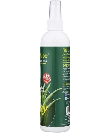 Real Aloe Vera Spray 8 Fluid Ounce (Pack of 24) - Buy Online on GoSupps.com