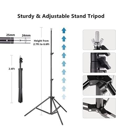 6.5x10ft Adjustable Backdrop Stand for Parties & Wedding Photography + 12 Balloons | ZBWW Photo Video Studio | Advertising Display - Buy Online on GoSupps.com