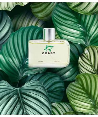 Coast Green Cologne for Men 3.4oz/100ml (Our Impression of Coste Blanc Green) Eau de Toilette Natural Spray - Buy Online on GoSupps.com