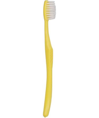Tooth Model - Best 120 Opening Dental Visualization for Practice | International Shipping - Buy Online on GoSupps.com