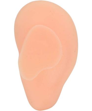 Silicone Acupuncture Ear Model - Professional Simulated Teaching Tool (Right Ear) - Buy Online on GoSupps.com