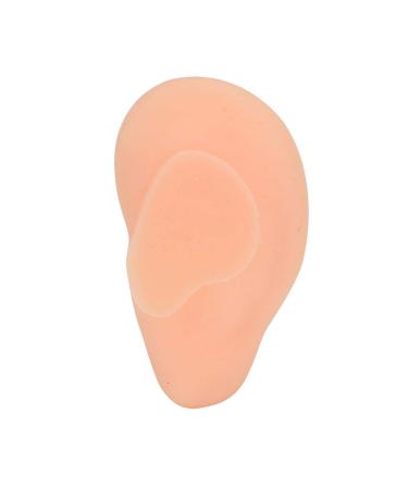 Simulated Ear Acupuncture Models - Realistic Silicone Ears for Training (Right) - Buy Online on GoSupps.com