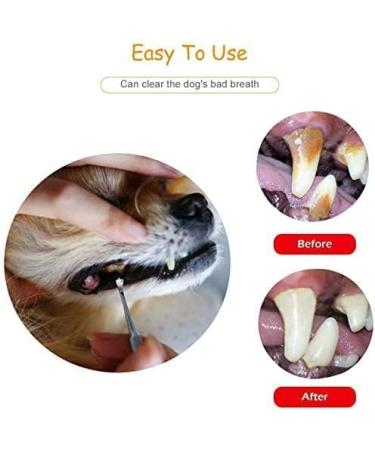 YsCare Double Head Tartar Remover Set - Professional Dog Tooth Cleaner & Dental Care Tools | Stainless Steel Pet-Friendly - Buy Online on GoSupps.com