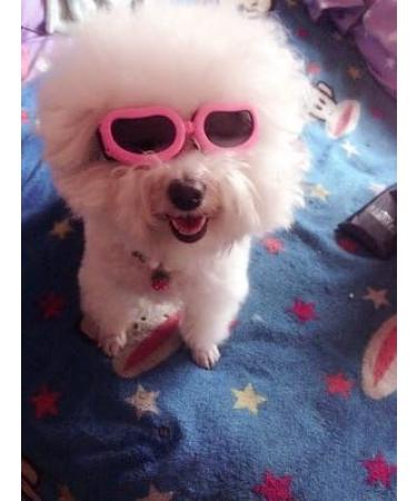 petall Outdoor Dog Sunglasses Anti-UV Eye Protection Goggles Waterproof Windproof Anti-Fog for Small Pet Puppy Dog Cat (Pink) - Buy Online on GoSupps.com