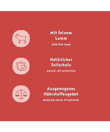 My Friend+ Dog Adult with Lamb - Buy Online on GoSupps.com