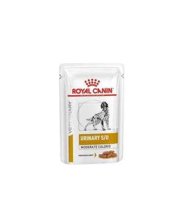 ROYAL CANIN Urinary S/O Moderate Calorie Wet Dog - 12 x 100g