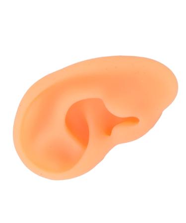 Ear Display Mould Soft Waterproof Ear Model Flexible Lifelike for Hospital(Right)