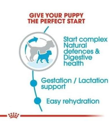 Royal Canin Mini Starter Mother & Babydog Dry Food 4kg 3 kg (Pack of 1) - Buy Online on GoSupps.com