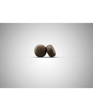 Josera Lamb & Rice Dog Food (5 x 900g) | Super Premium Dry Food with Single Protein Source for Adult Dogs - Buy Online on GoSupps.com