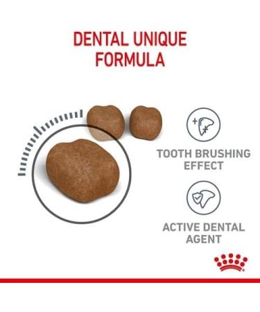 ROYAL CANIN Oral Care Dry Cat Food 400g (Pack of 2) - Buy Online on GoSupps.com