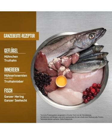 Orijen Puppy | 3 Pack | 3 x 340 g | Dry food for puppies | to support the development of puppies | with fresh or raw poultry and fish ingredients - Buy Online on GoSupps.com