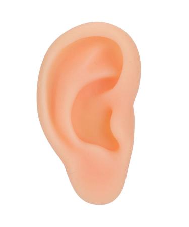 Silicone Ear Model Fake Ears Professional Simulated Ear Model Acupuncture Practice Massage Teaching Tool Fake Ear(Right)